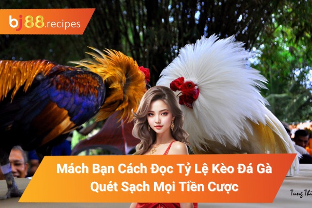 Cách Đọc Tỷ Lệ Kèo Đá Gà