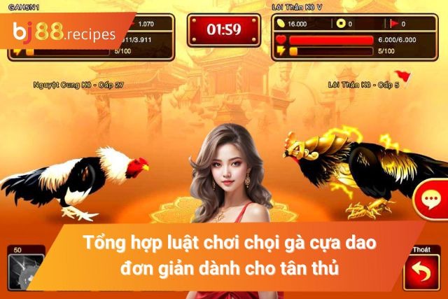 Những quy tắc mà bạn cần nắm khi tham gia chọi gà cựa dao