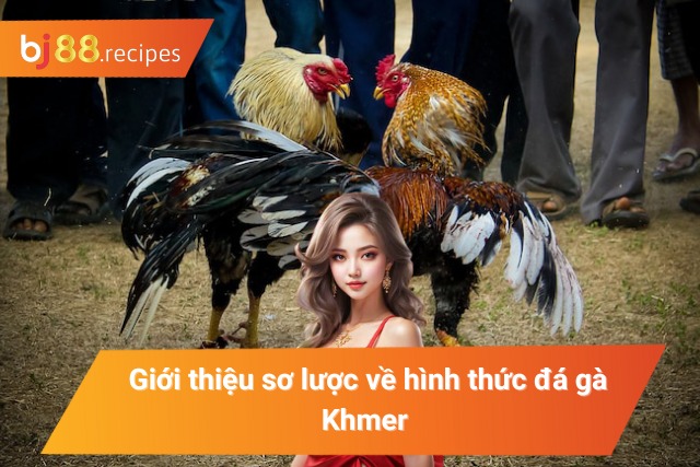 Giới thiệu sơ lược về hình thức chọi gà Khmer