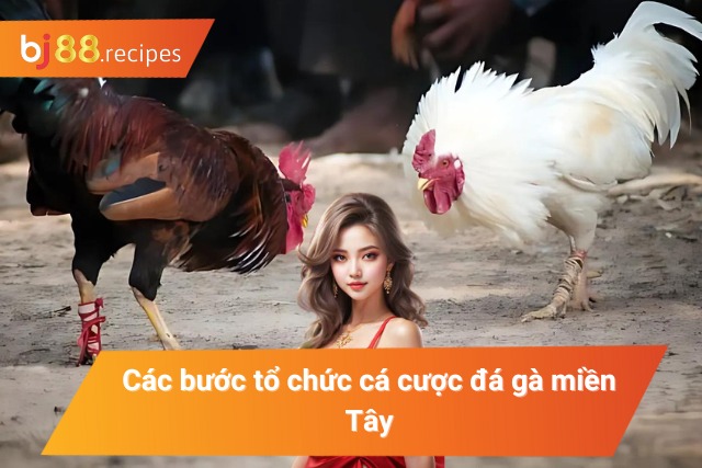 Cách tham gia đá gà cho người mới