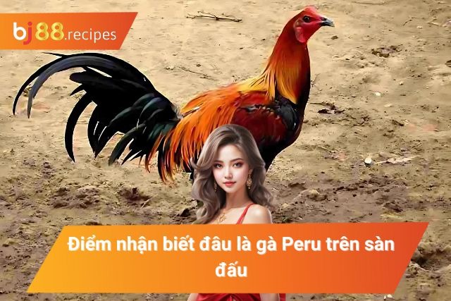 Hướng dẫn cách nhận biết gà Peru trong trận đấu