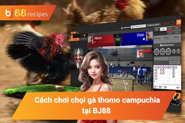 Luật chơi đá gà mà bet thủ cần phải nắm