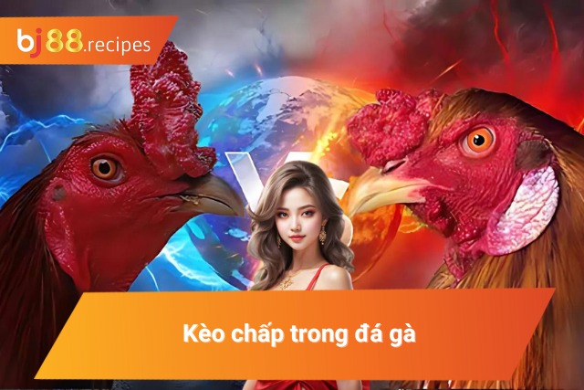 Kèo chấp khi tham gia cá cược đá gà