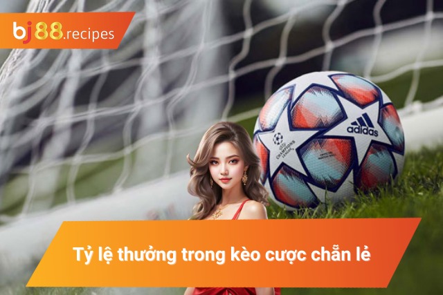 Khám phá tỷ lệ thưởng trong kèo cược chẵn lẻ