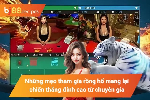 Mẹo tham gia game rồng hổ hiệu quả
