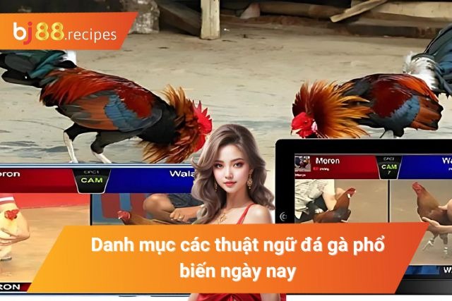 Các thuật ngữ về bộ môn đá gà hiện nay