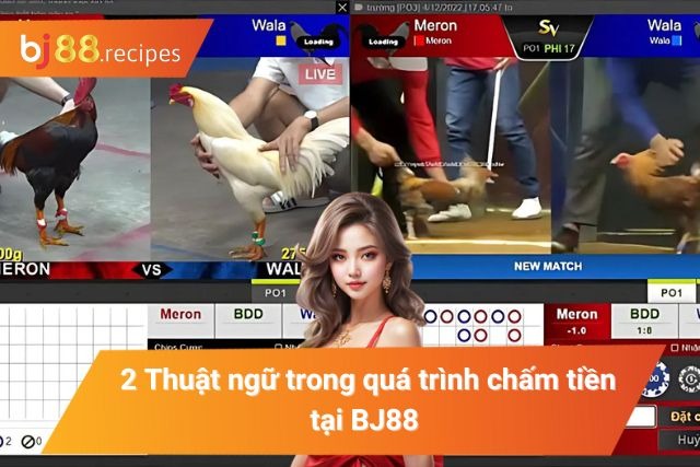Các thuật ngữ khi tham gia chấm tiền 